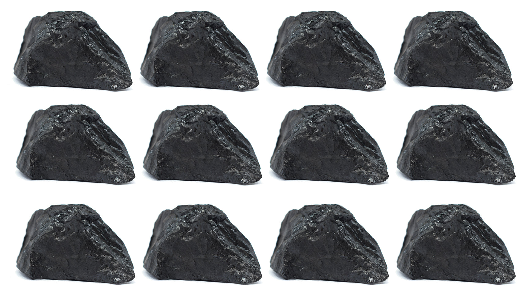Bituminous Coal Specimen