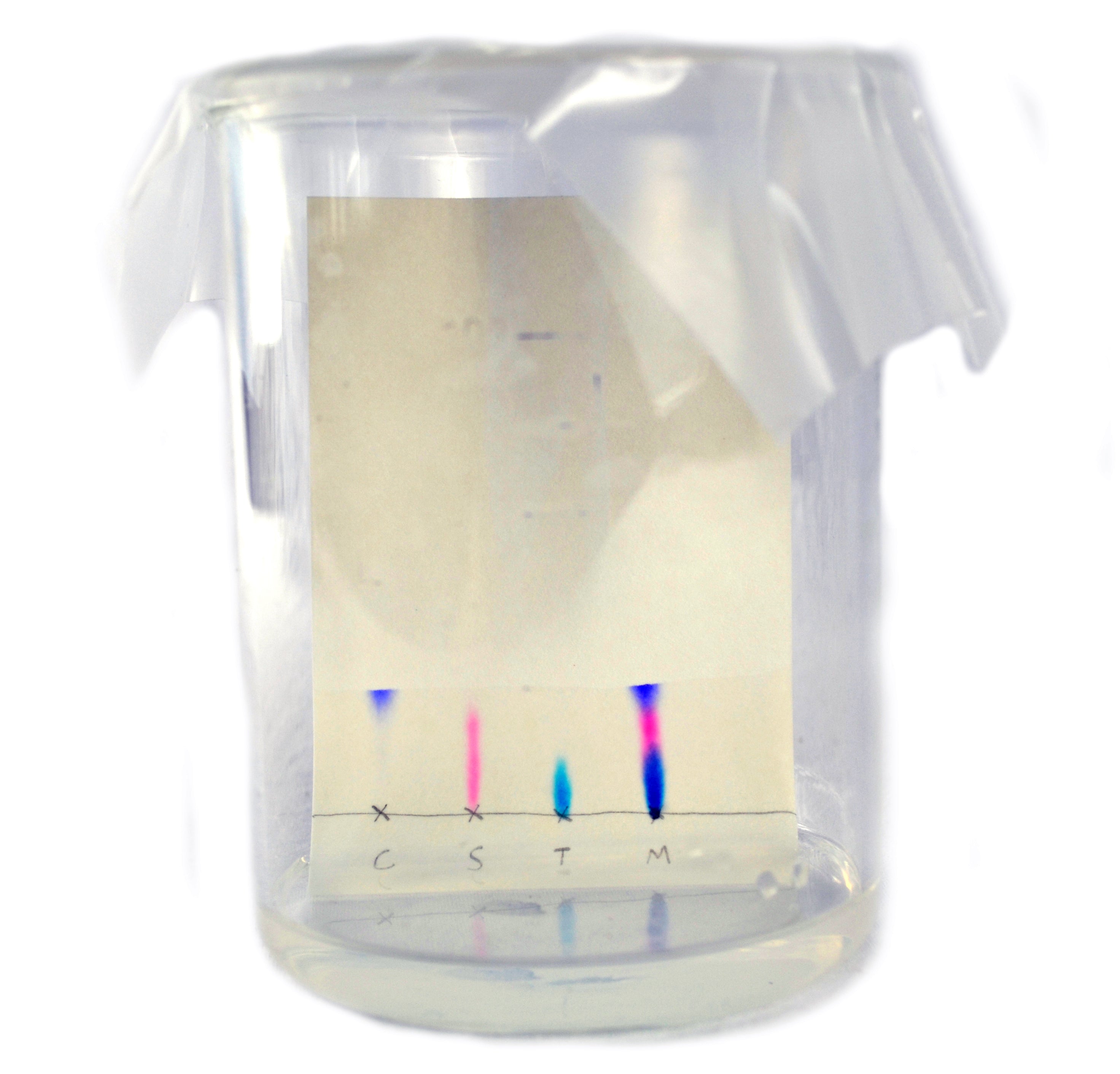 Paper Chromatography Kit for 15 Student Groups