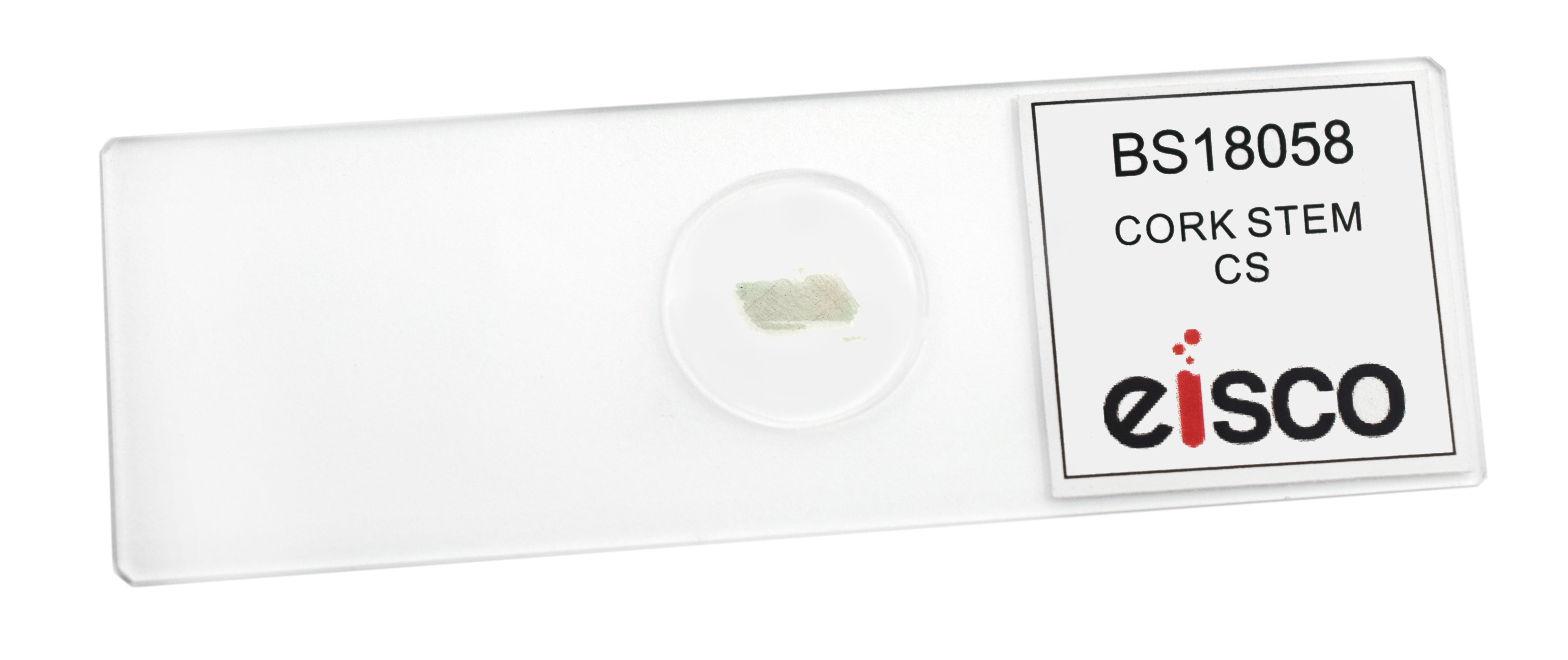 Cork Cells Cross-Section Prepared Microscope Slide