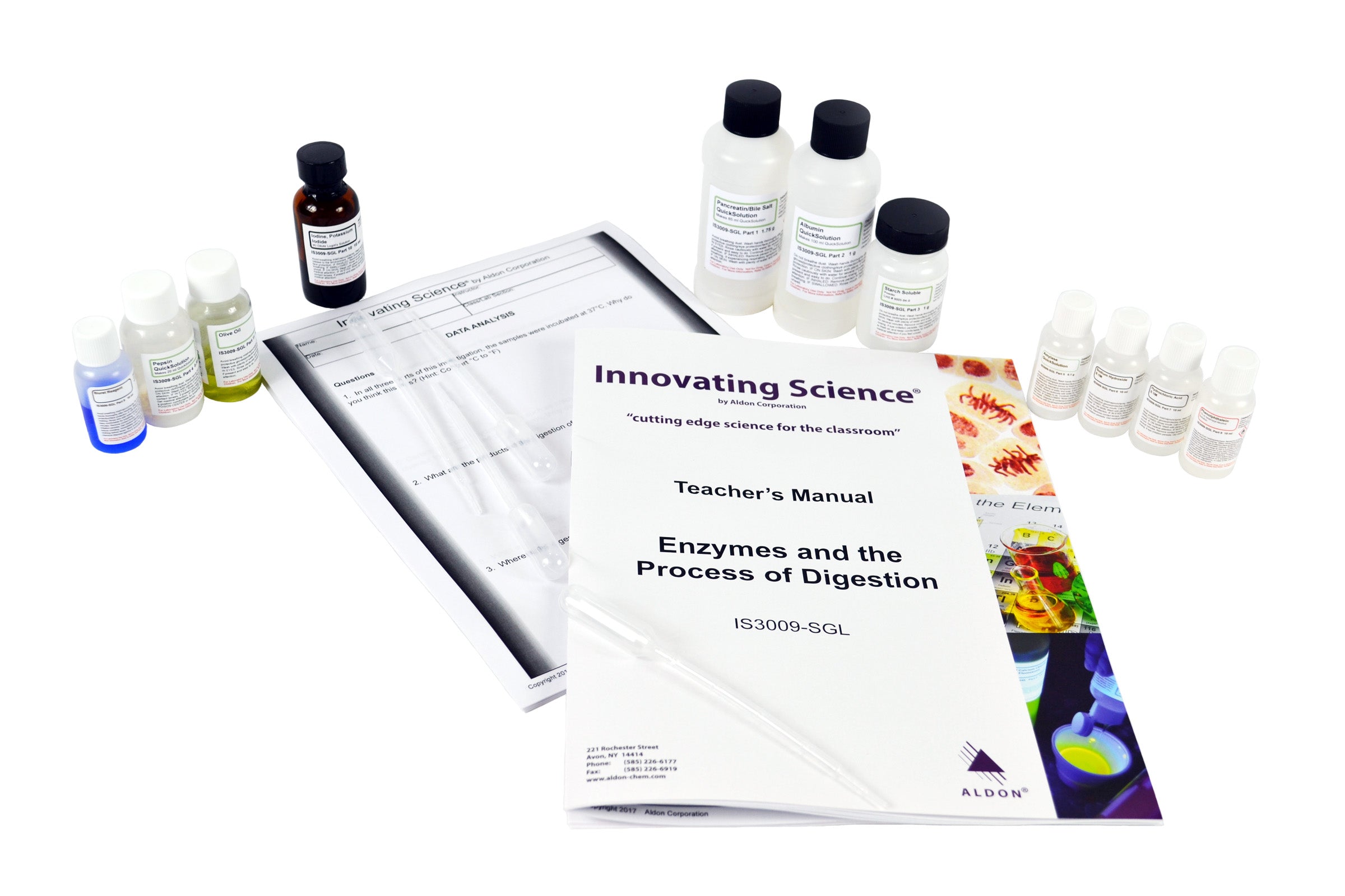 Enzymes and the Process of Digestion Small Group Learning Kit for 5 Groups