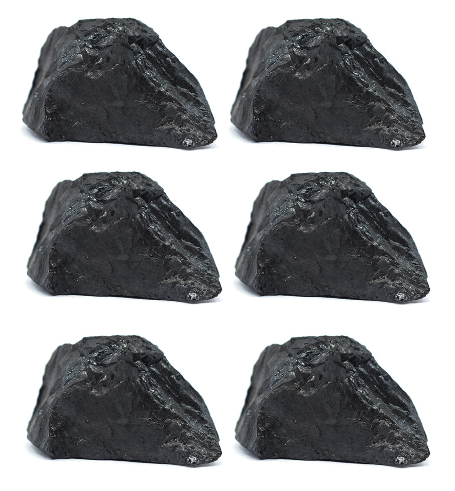 Bituminous Coal Specimen