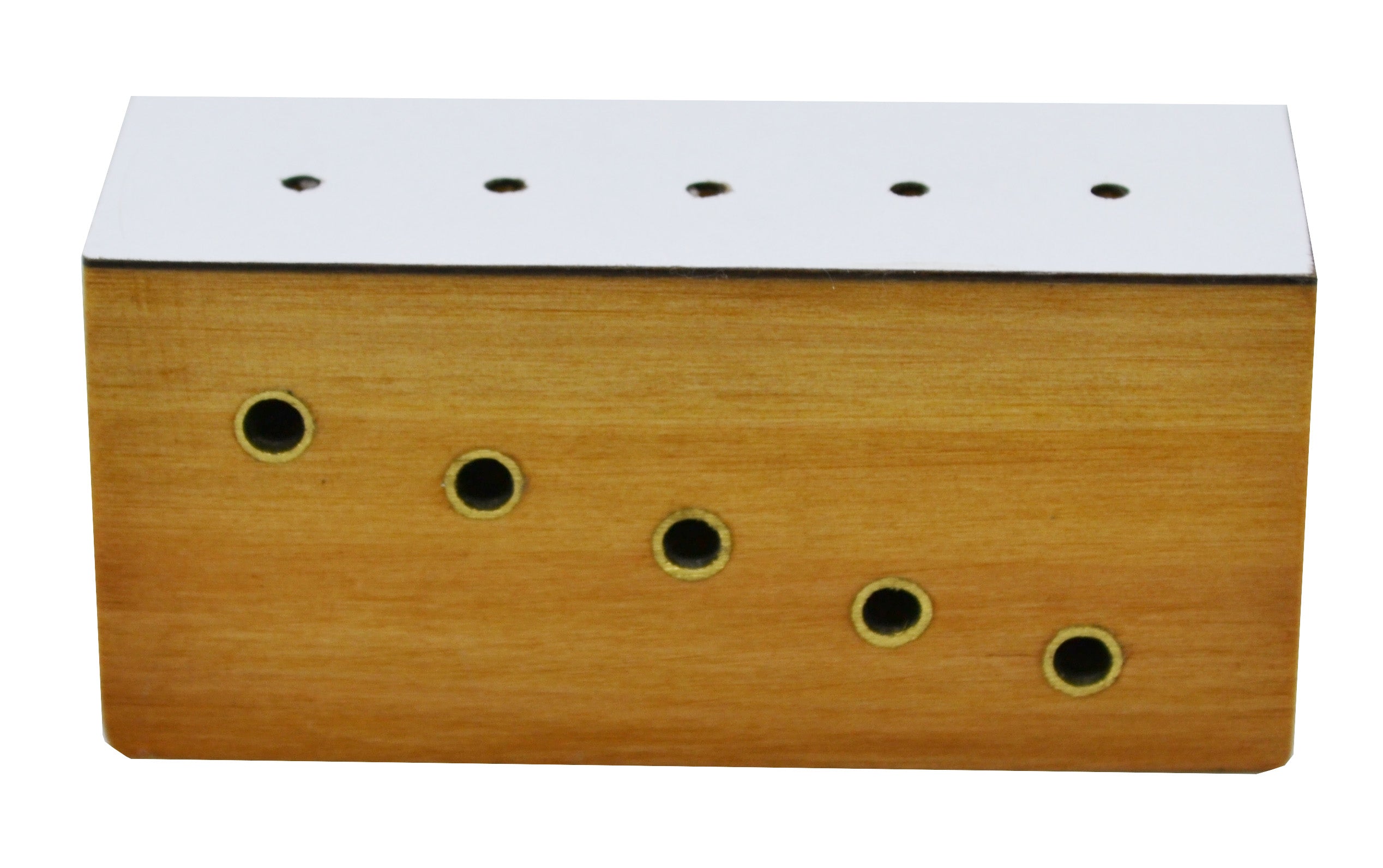 Hardwood Insect Pinning Block with 5-Hole Step Heights