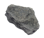 Carbonaceous Shale Specimen