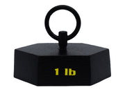 1lb Hexagonal Cast Iron Mass with Lifting Ring