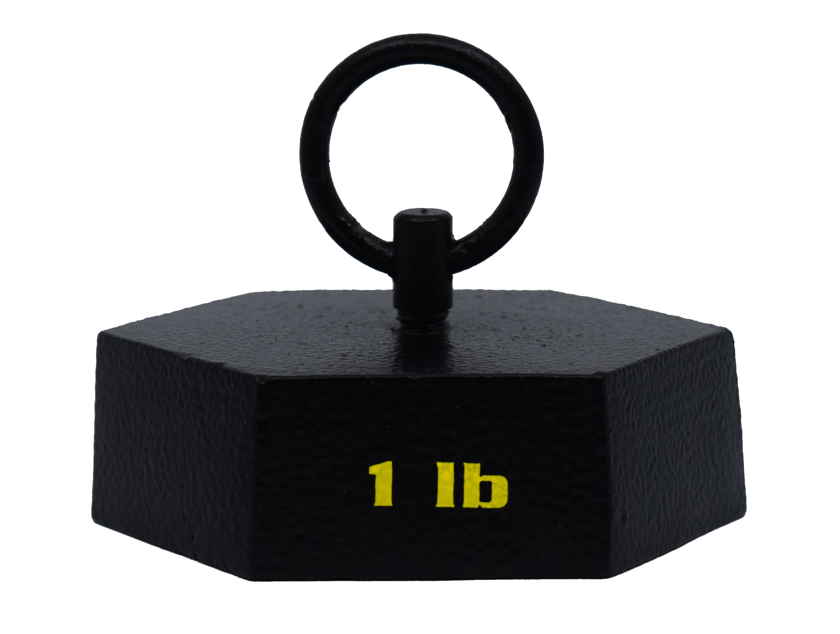 1lb Hexagonal Cast Iron Mass with Lifting Ring