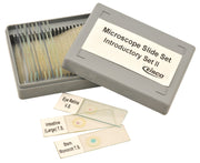 Introductory No. II Microscope Slide Set, 12-Piece