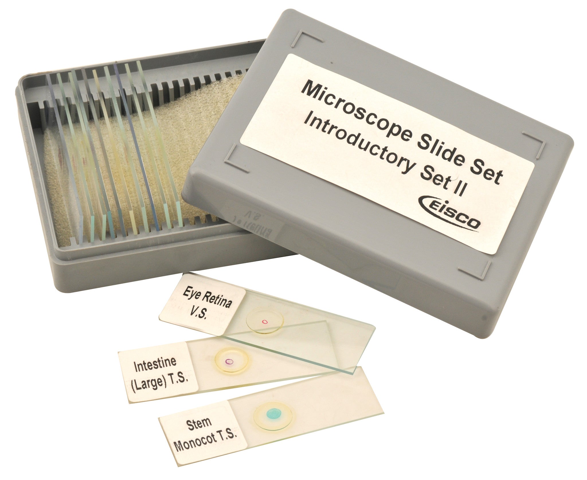 Introductory No. II Microscope Slide Set, 12-Piece