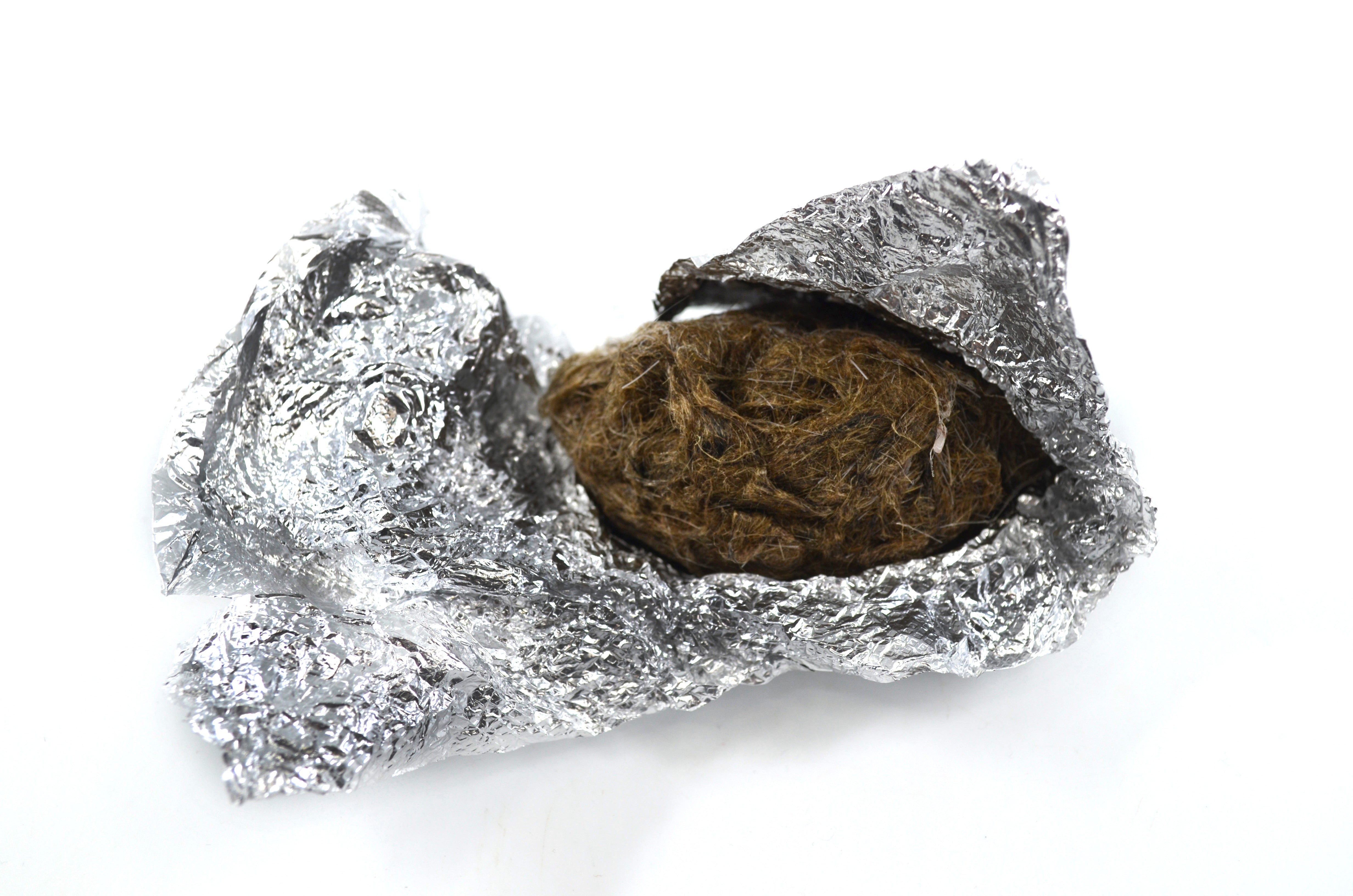 Simulated Owl Pellet with Bird, 3 x 2 inch