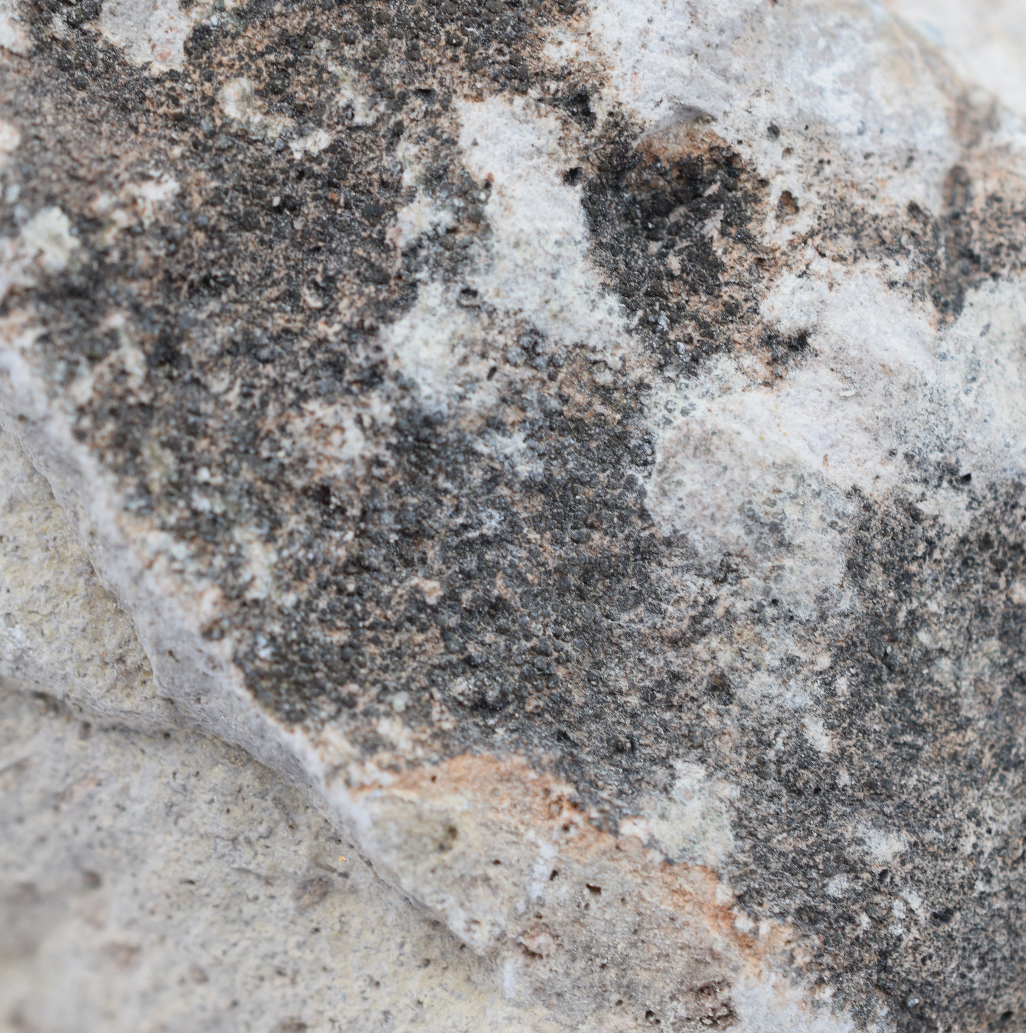 Raw Volcanic Tuff Igneous Rock Hand Sample, Approx 3 inch