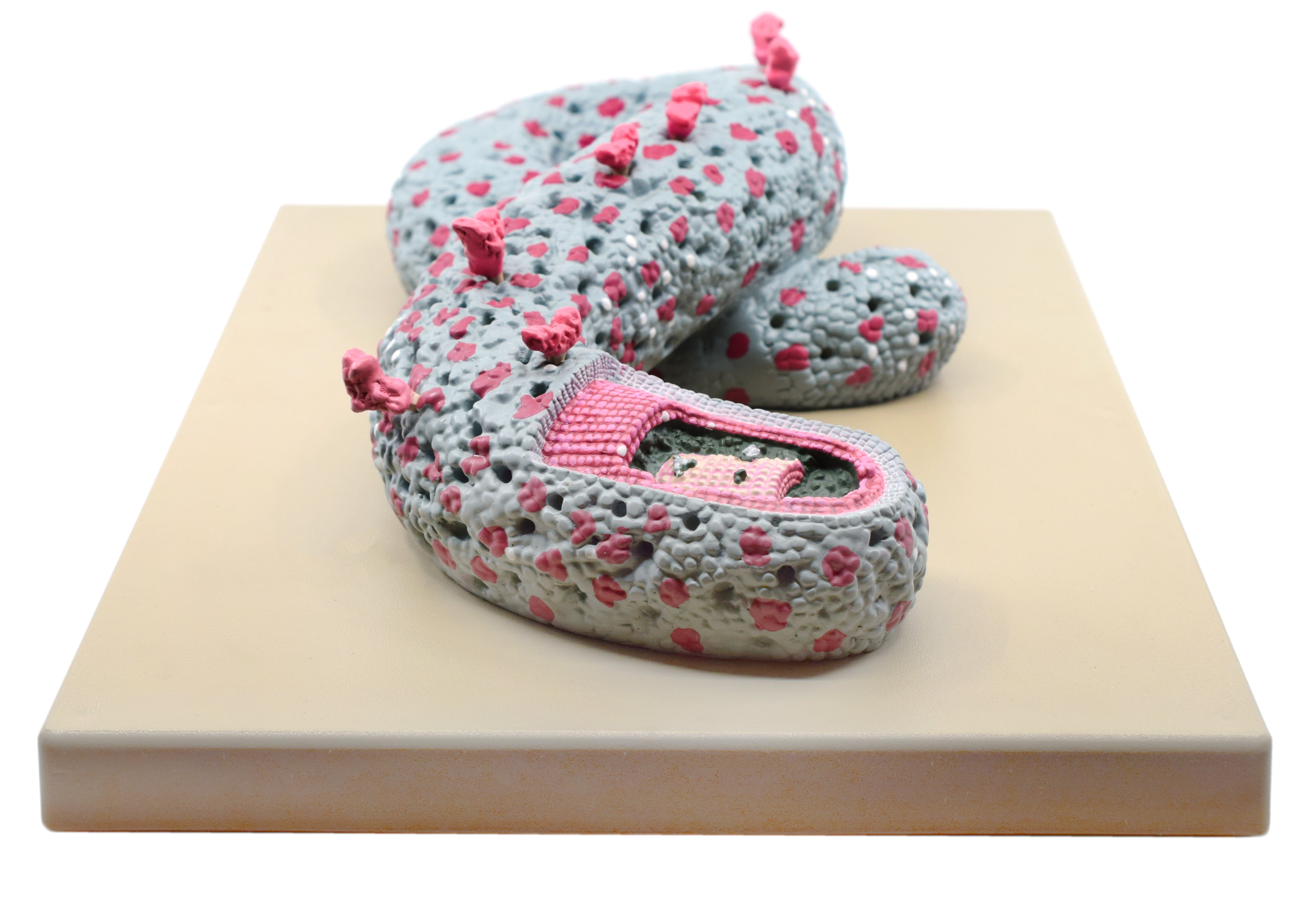 Hand-Painted 3D Ebola Virus Sectional Anatomical Model on Base, 100000x Magnification, 16 x 12 inch