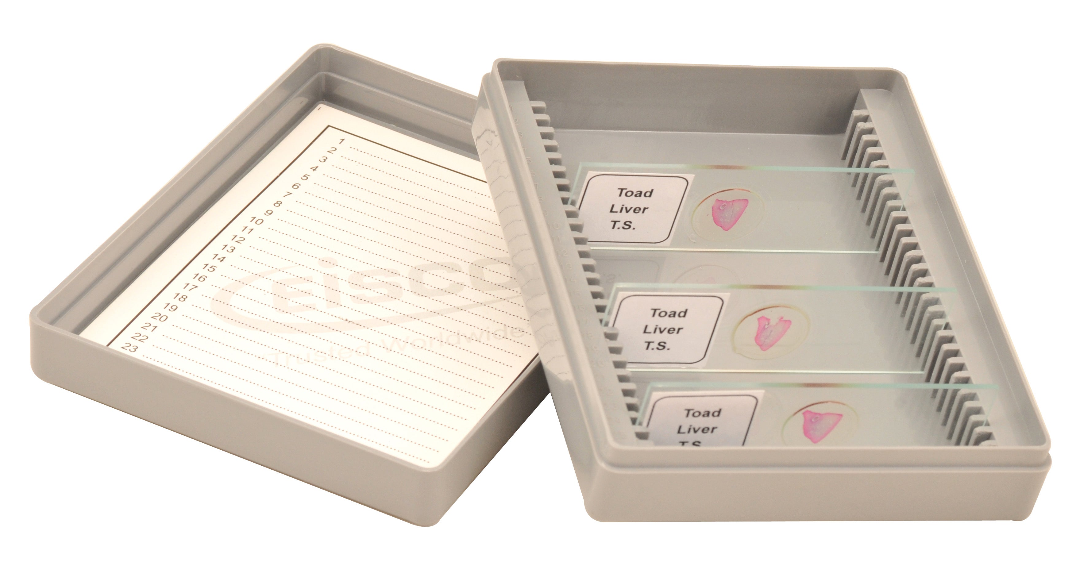 Polystyrene Slide Box for 10 Slides
