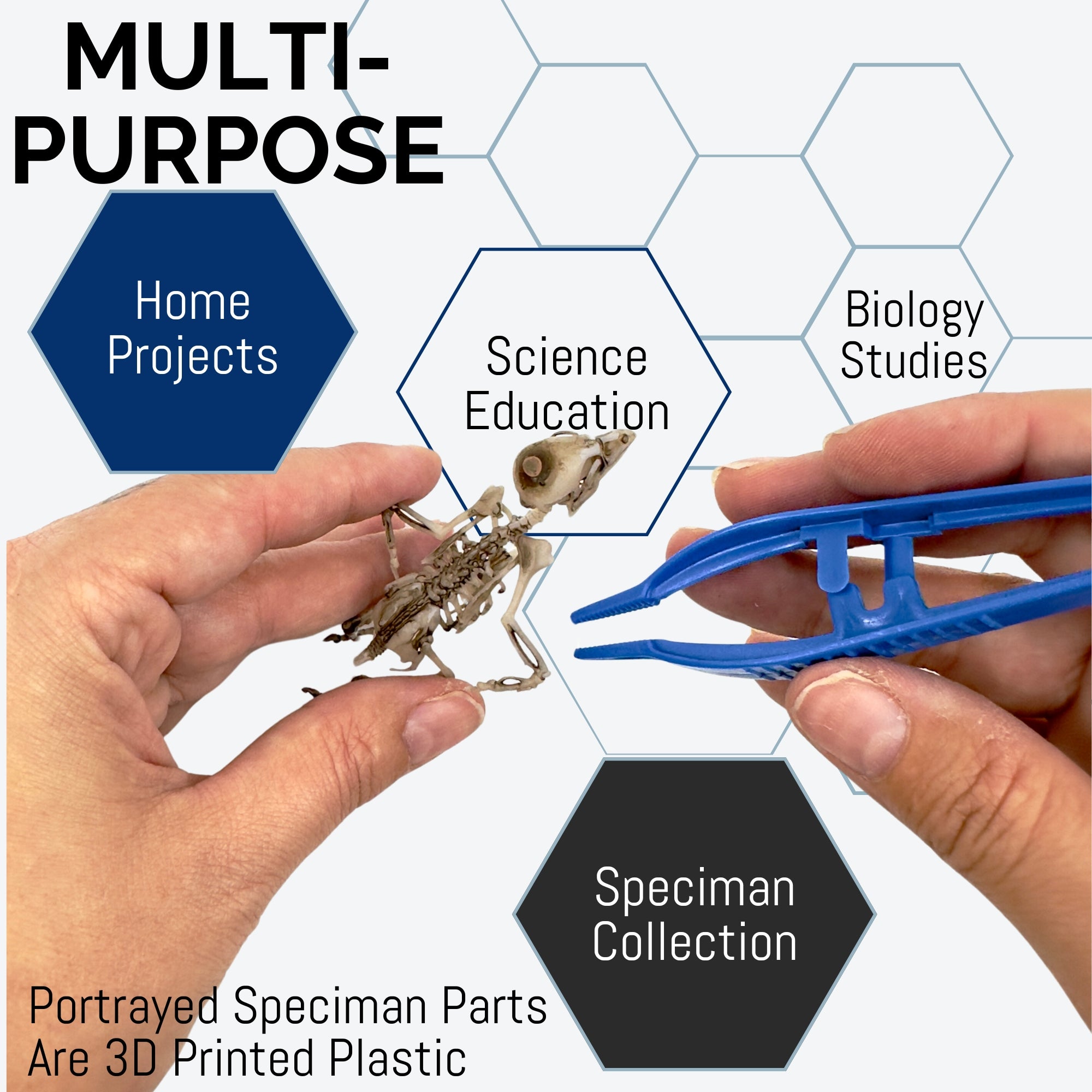 5" Disposable Plastic Forceps, Single