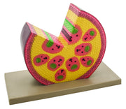 Monocot Stem Model