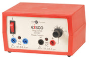 Regulated AC/DC Power Supply with 2 Independent Outputs, 12V 500mA