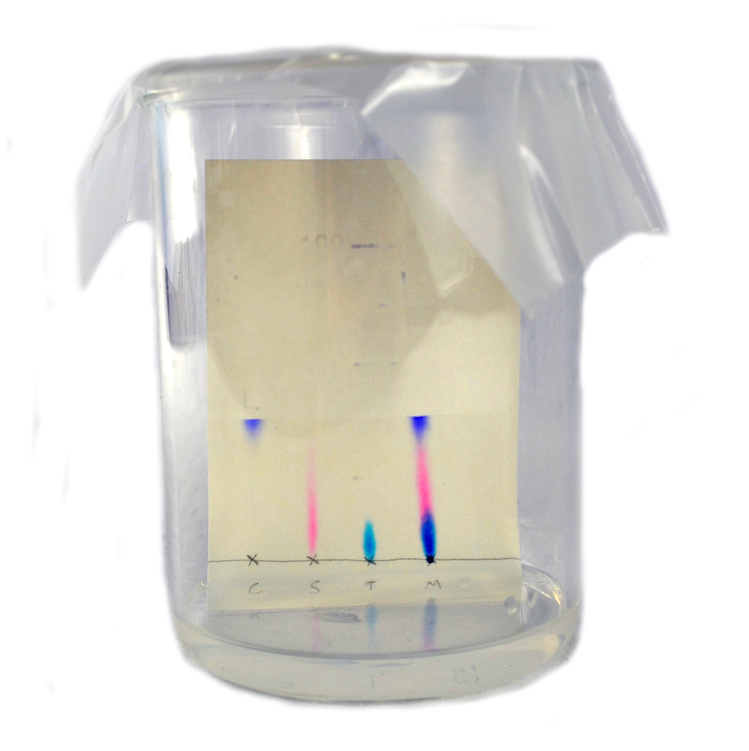 Paper Chromatography Kit for 15 Student Groups