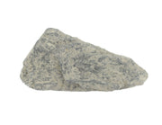 Phyllite Specimen