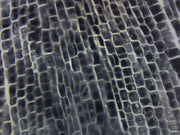 Onion Root Tip Squash Wholemount Prepared Microscope Slide
