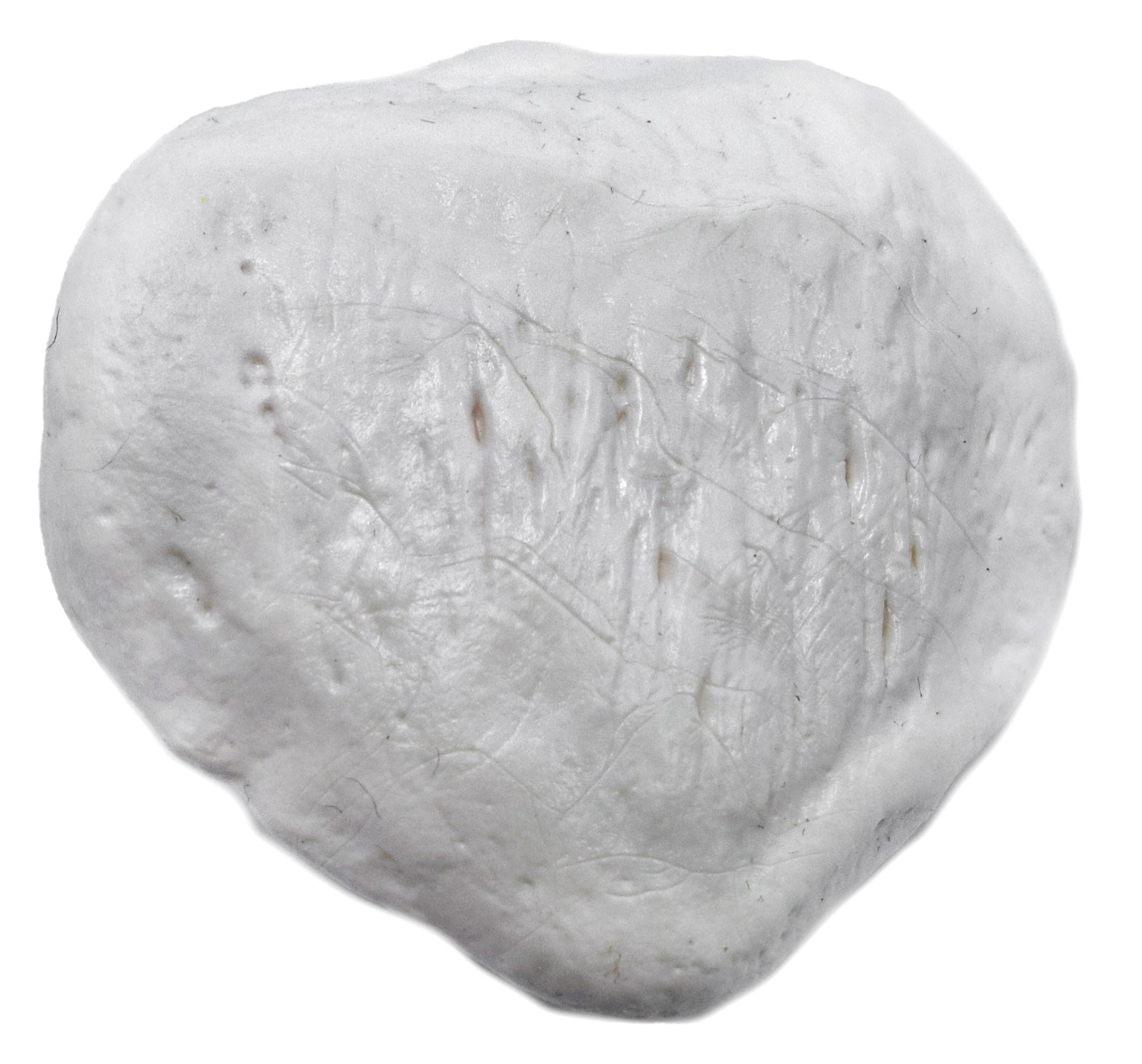 Left Patella Bone Model
