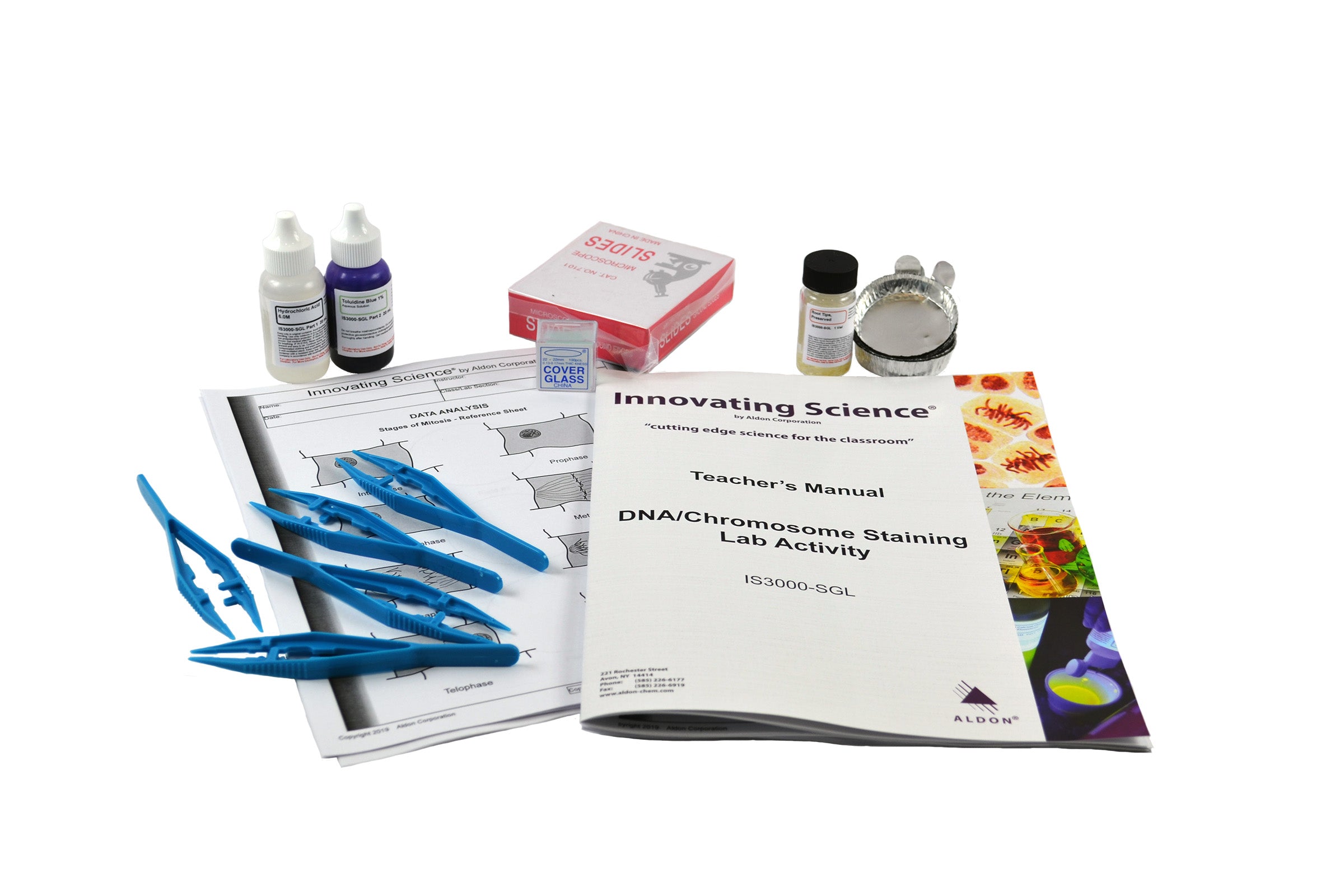 DNA and Chromosome Staining Small Group Learning Kit with Squashed Stained Slides