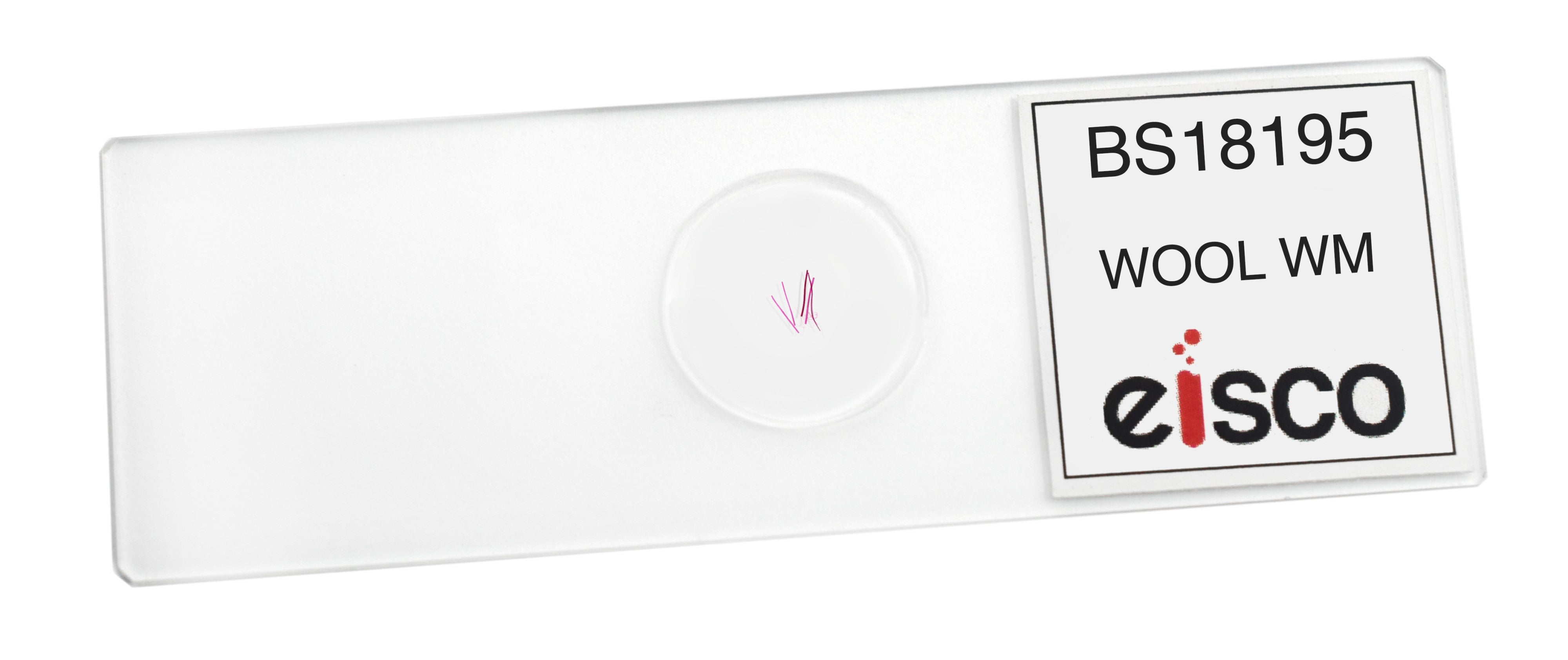 Wool Wholemount Prepared Microscope Slide