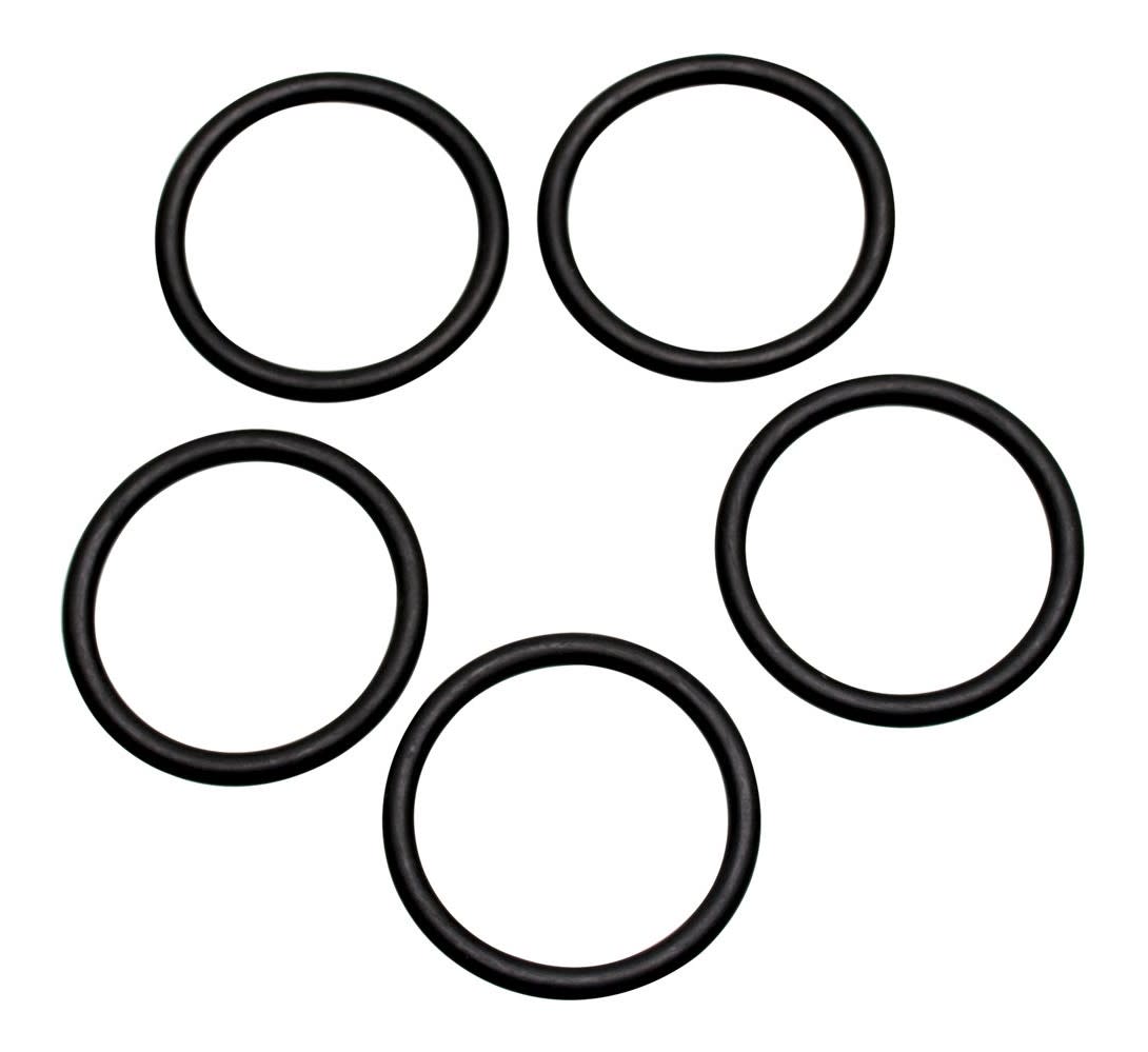 O-Ring Belt Replacement for Van de Graaff Generator, 5-Pack