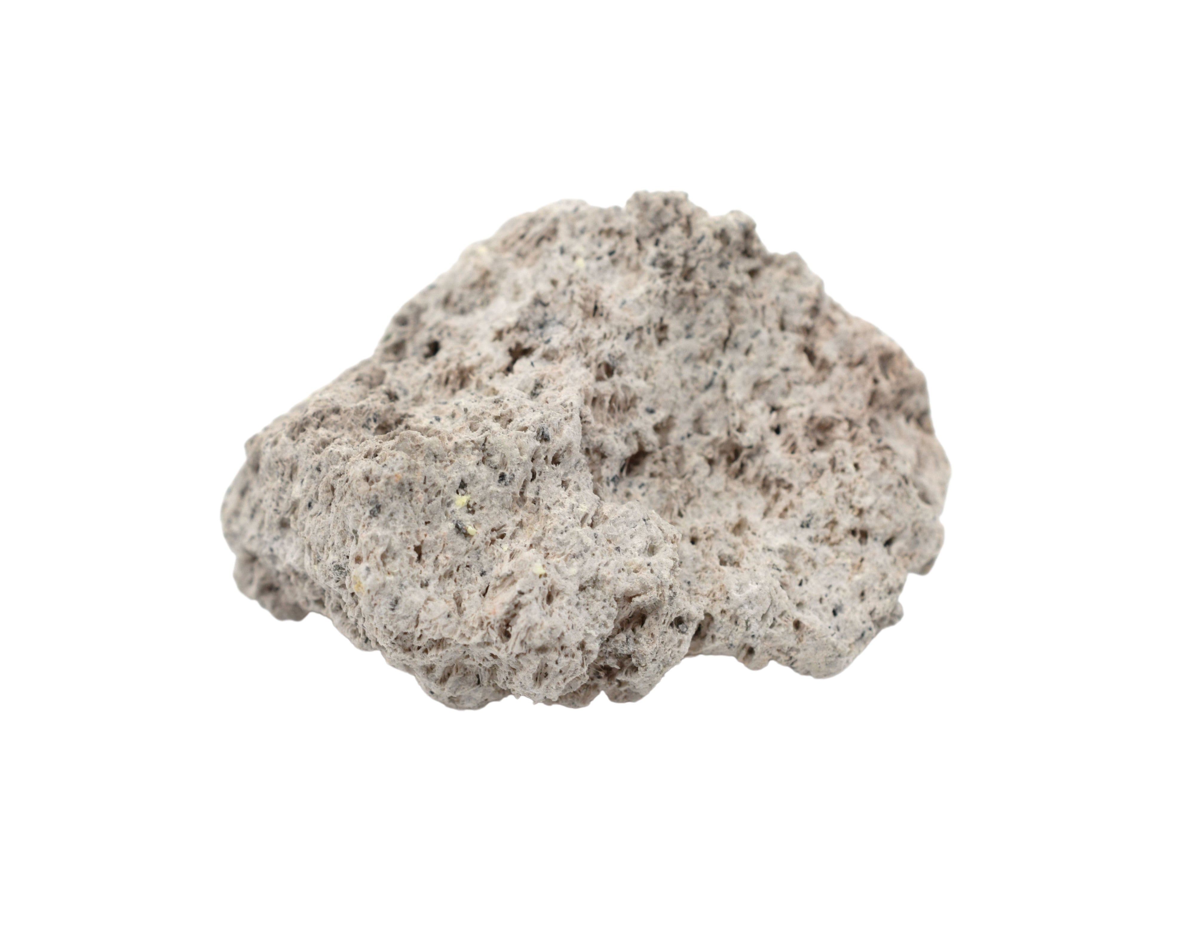 Pumice Specimen
