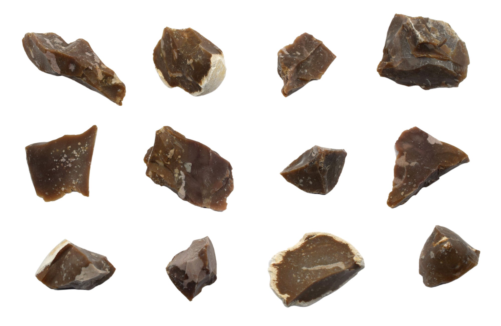 Chert Specimen