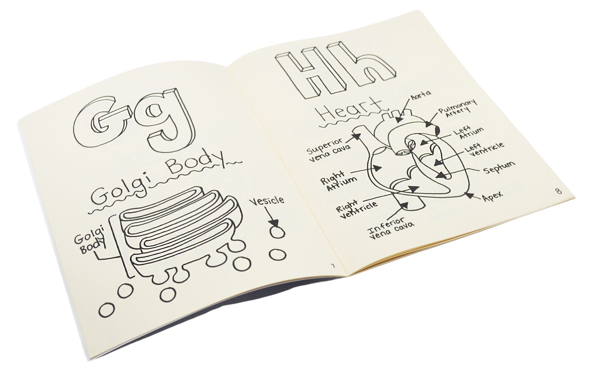 The Biology ABCs Educational Coloring Book, 26 Pages