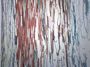 Lilium Stem Combination Cross-Section Prepared Microscope Slide