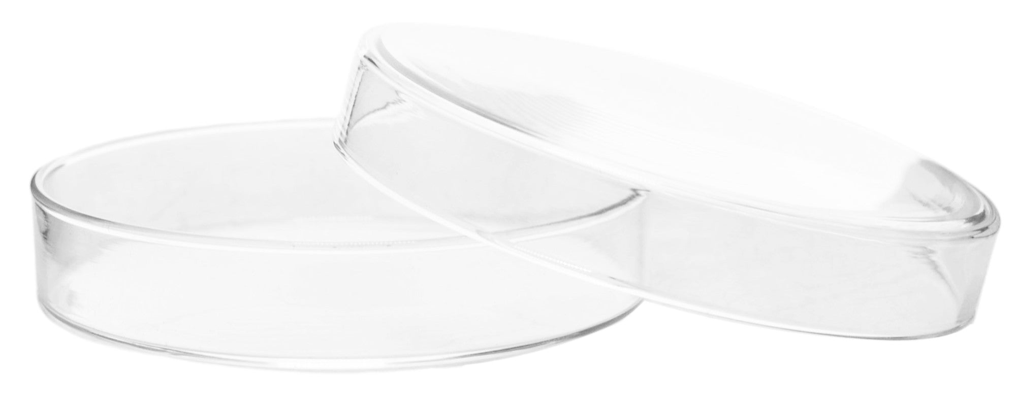 Soda Lime Glass Petri Dish