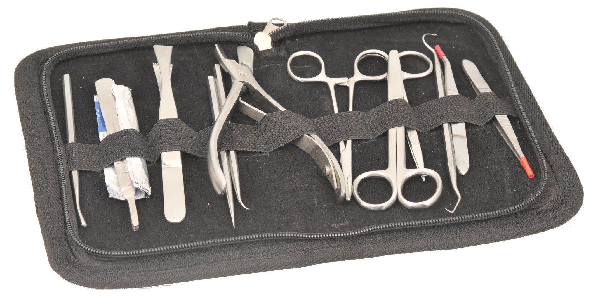 12 Pcs Instructor's Dissection Instrument Set - Stainless Steel ...