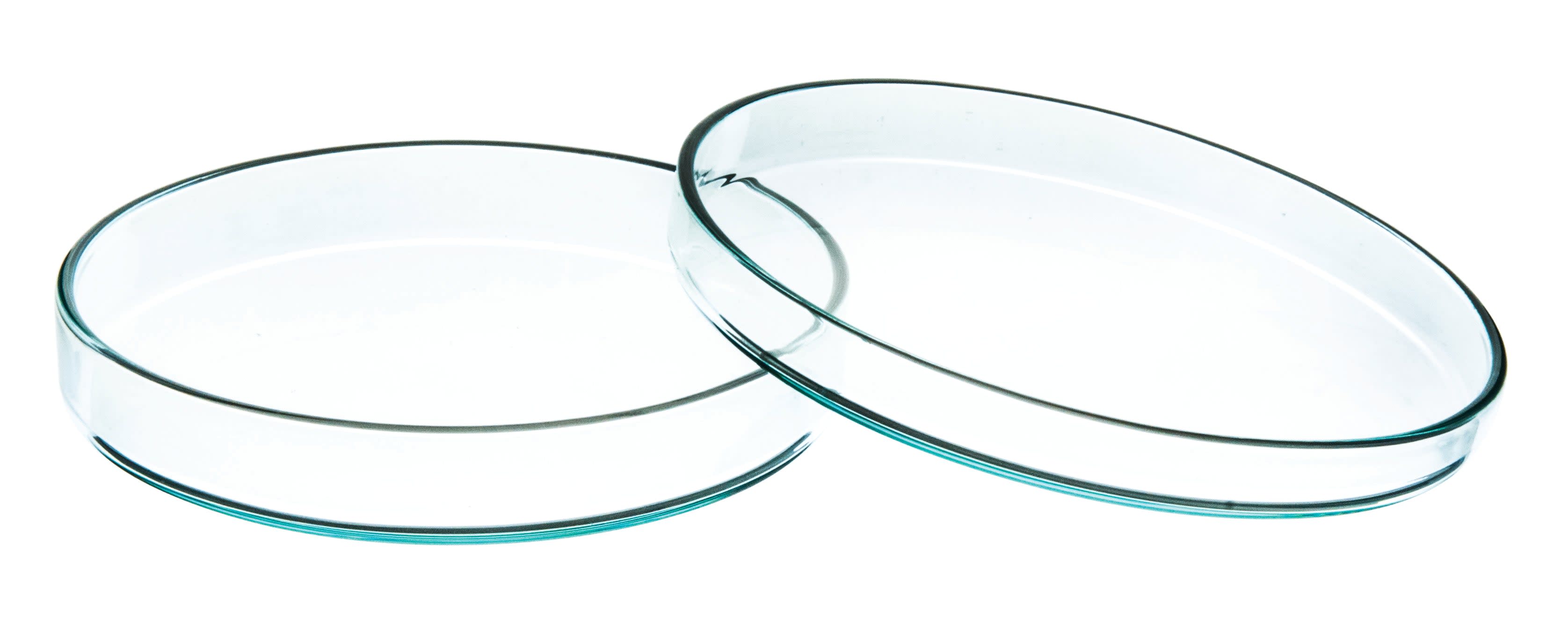 Soda Lime Glass Petri Dish