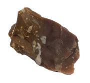 Chert Specimen