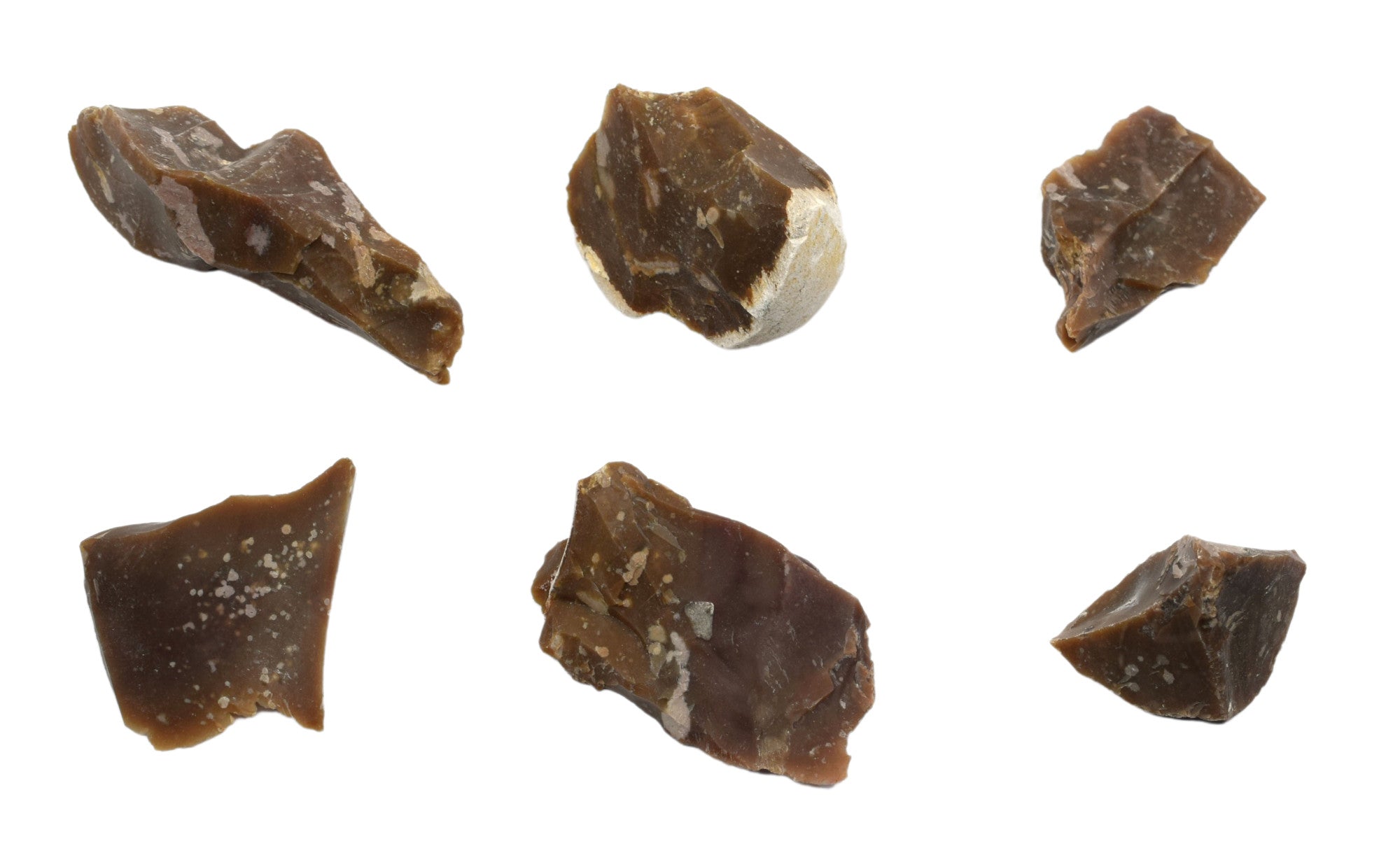 Chert Specimen