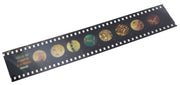Multi-Slide Viewer Set