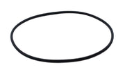 Replacement Belt for Hand-Driven Newton's Color Disc