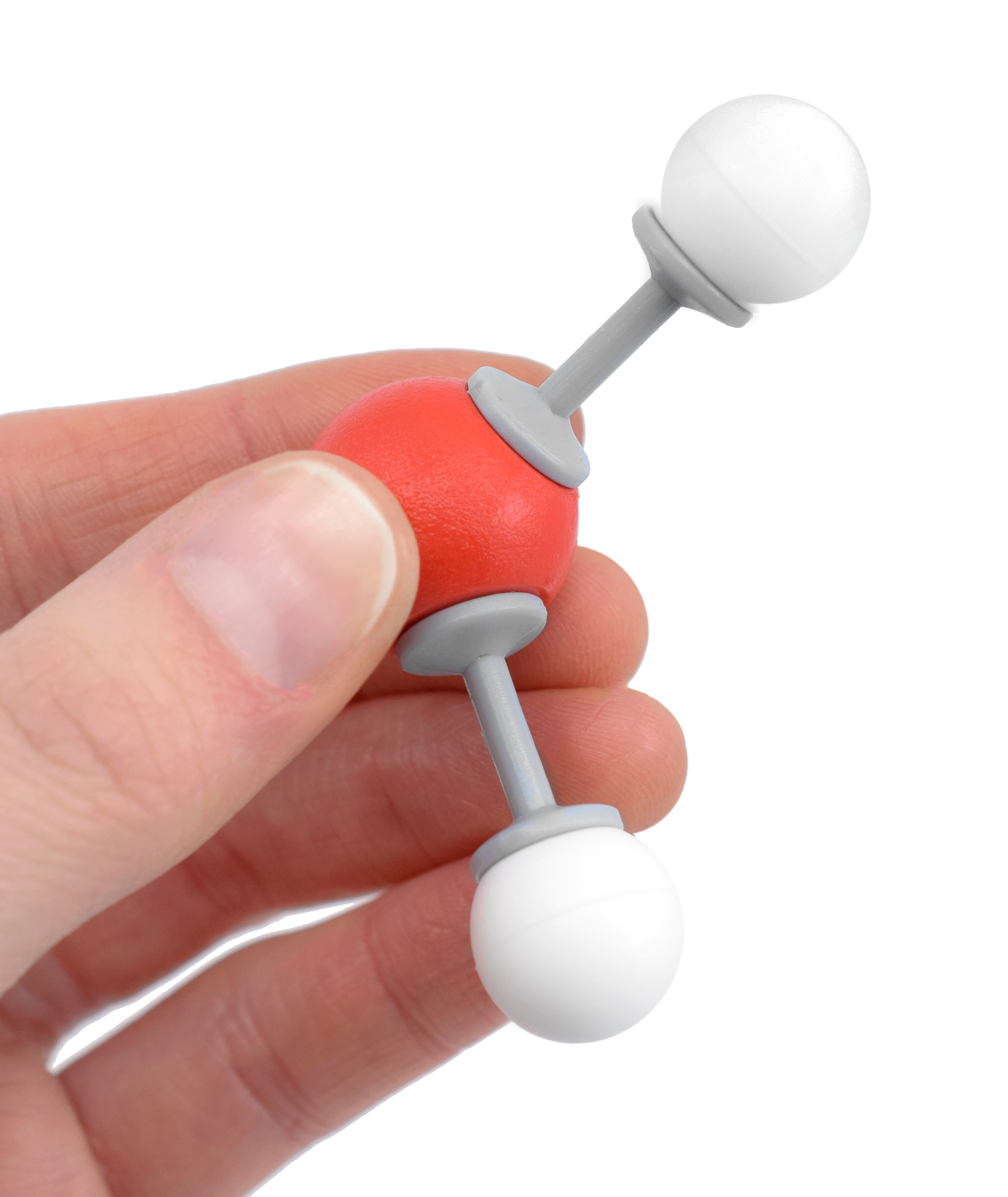 H2O Molecule Model Set - 2 Oxygen, 1 Hydrogen and 2 Bonds - Eisco