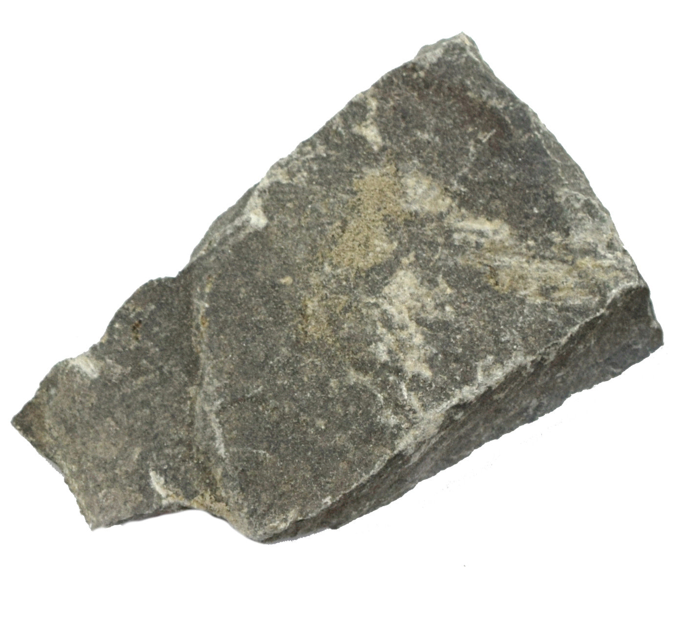Argillaceous Shale Specimen
