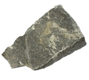 Argillaceous Shale Specimen